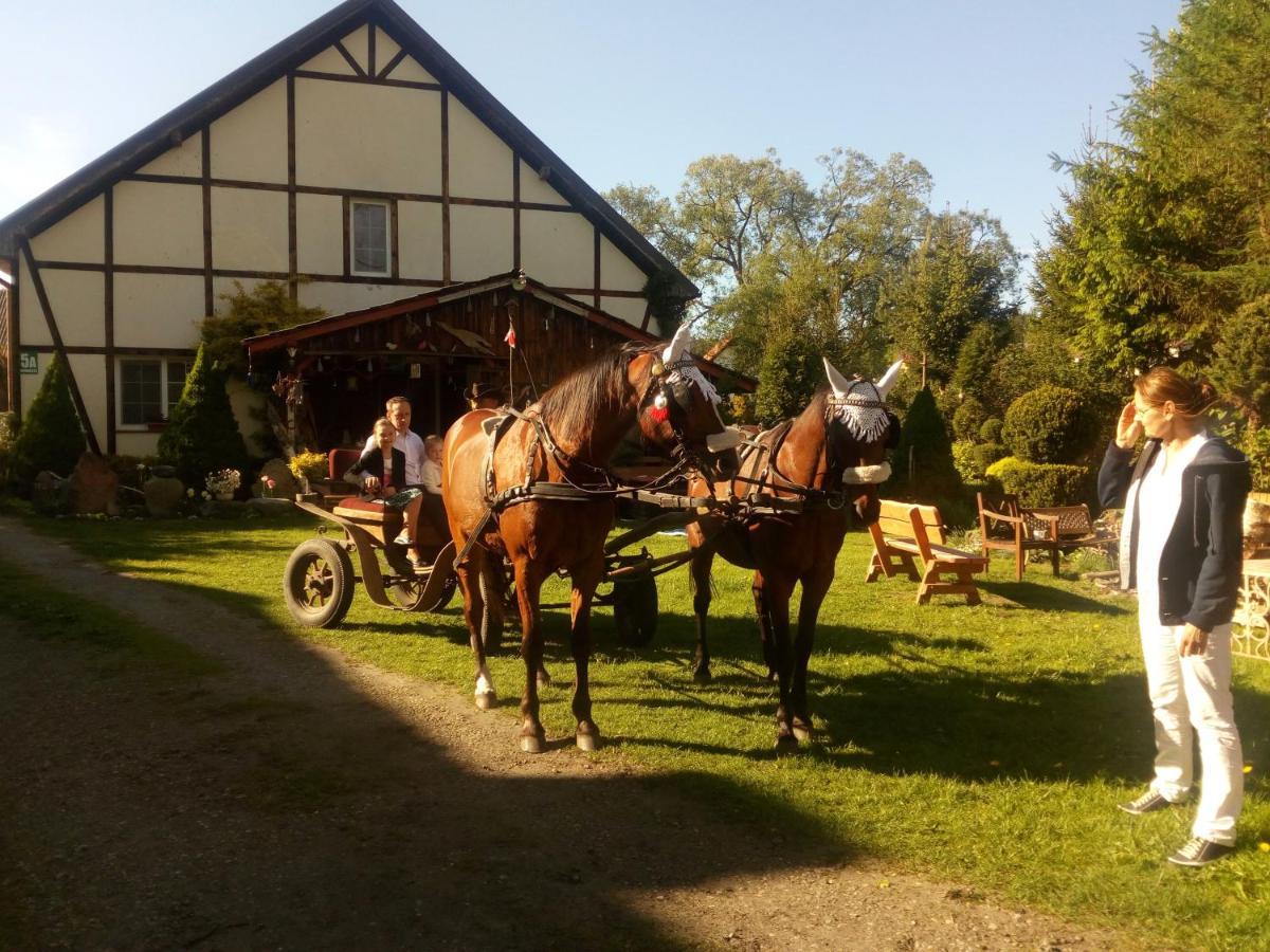 Pensjonat Kalina Komorze Extérieur photo